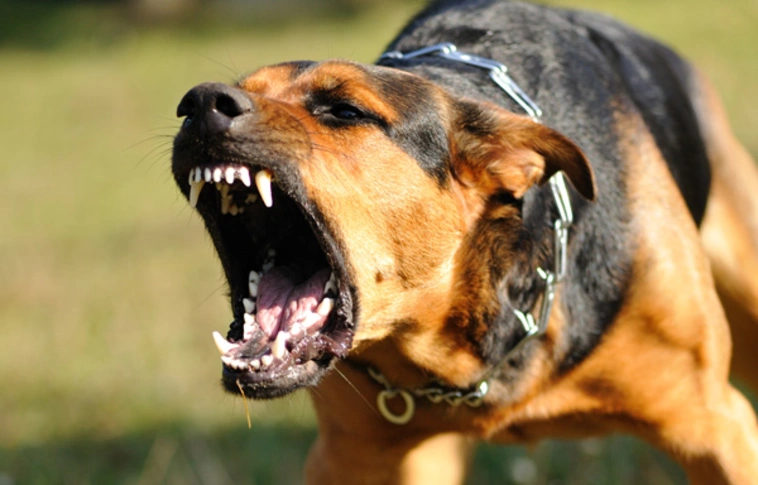 Fotó: illusztráció