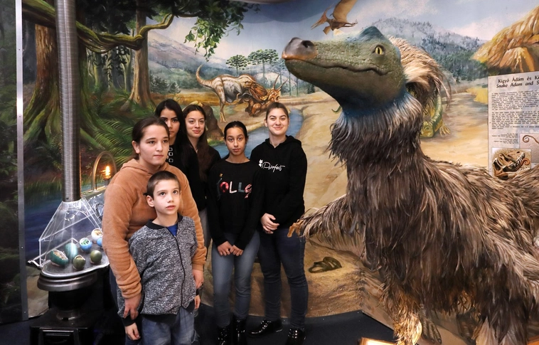 pannon tenger múzeum múzeumi karácsony gyermekvédelmi központ