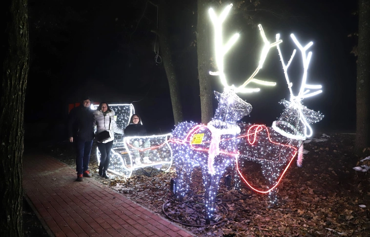 állatkert fényséta