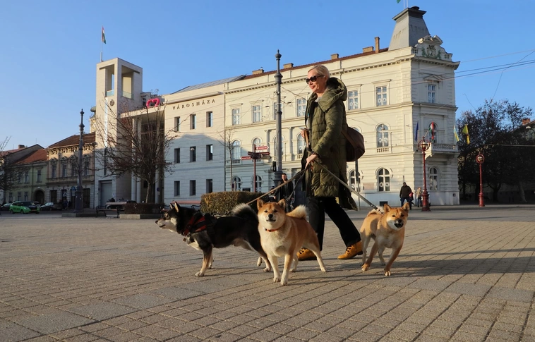 minap indito városháza