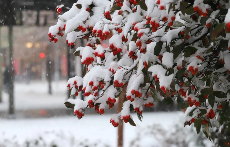 minap indító minap_indito tél