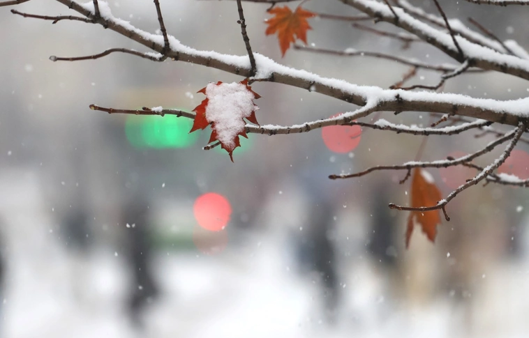 minap indító minapindito tél 