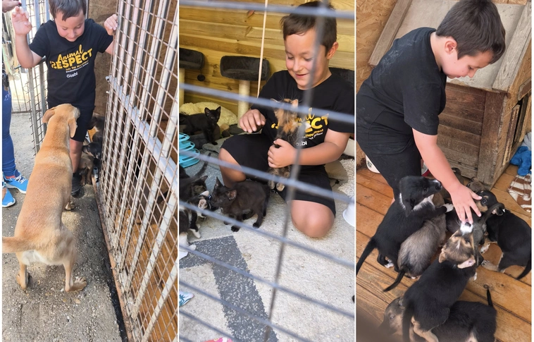 Máté és a kisállatok: kölcsönös rajongás