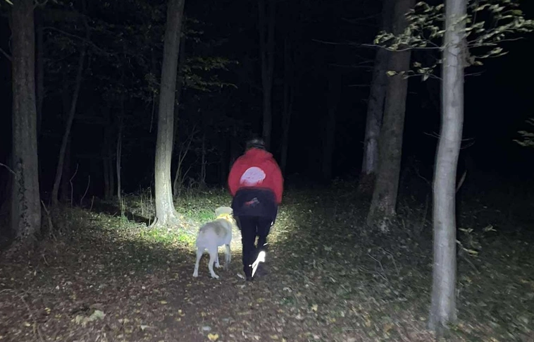 eltűnt keresés neptun