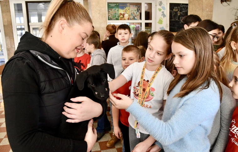 Összefogott a Fazekas Utcai Általános Iskola és a Diósgyőri Szurkolók az Állatokért Alapítvány. Fotó: Bujdos Tibor