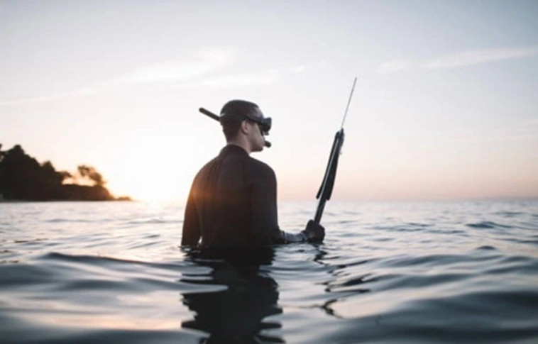 szigonypuska Fotó: pixabay.com