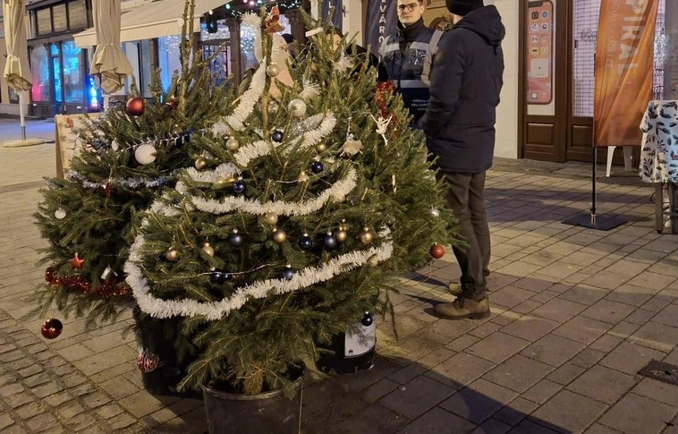 Miskolci Belvárosi Kör karácsonyfa