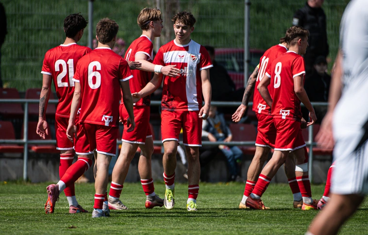 DVTK II F4R Fotó: DVTK