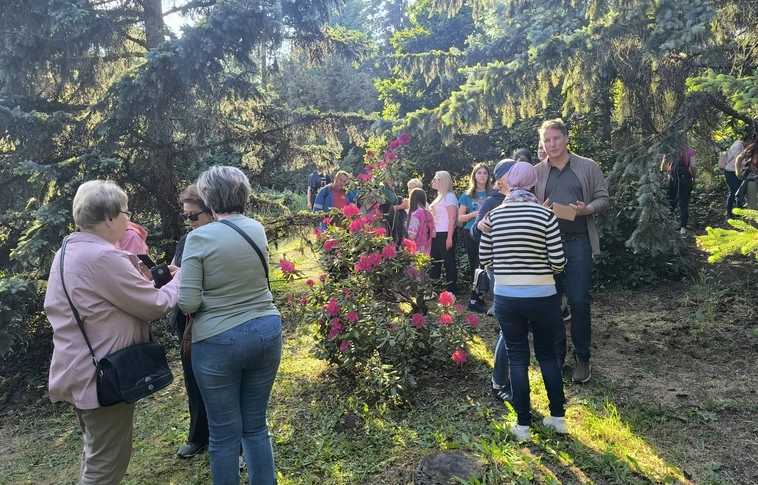 Fenyő- és rhododendron virágzás - vezetett séta a Fenyőkertben. Fotó: Adorján Eszter