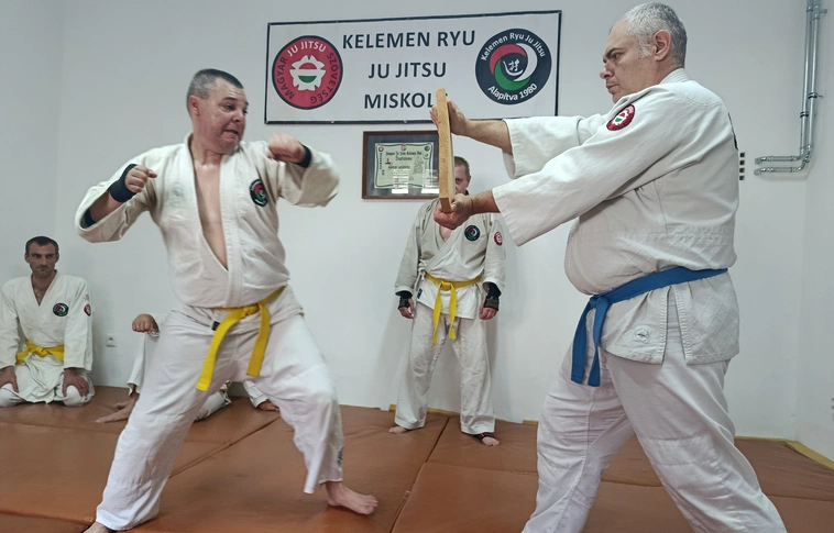 Kelemen Ryu miskolci ju jitsu iskola