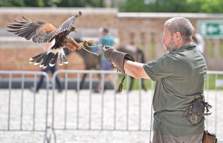 V. Diósgyőri Íjász, Lovas és Hagyományőrző nap