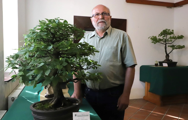 A 25 éves Miskolci Bonsai Klub kiállítása