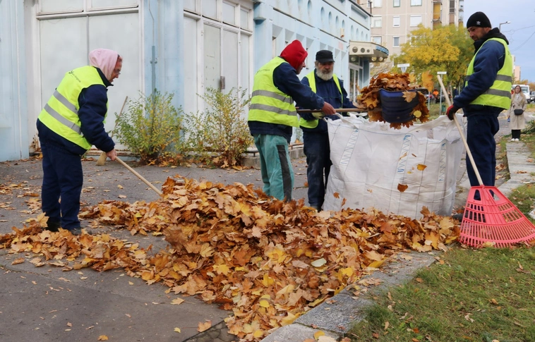 Takarítás, gallyazás, útburkolati jelek festése az Avason