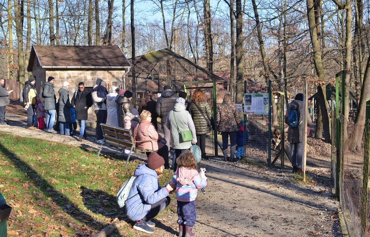 Állatok karácsonya