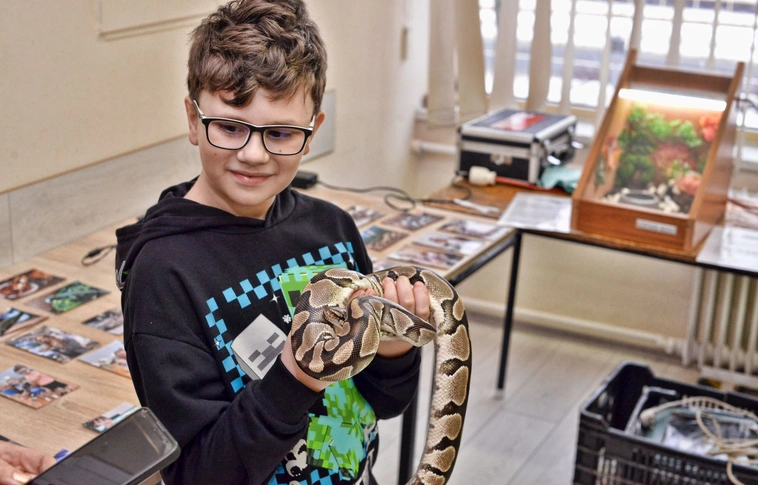 Egzotikus kisállat kiállítás