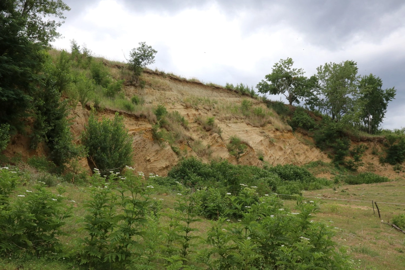 görömböly gyurgyalag