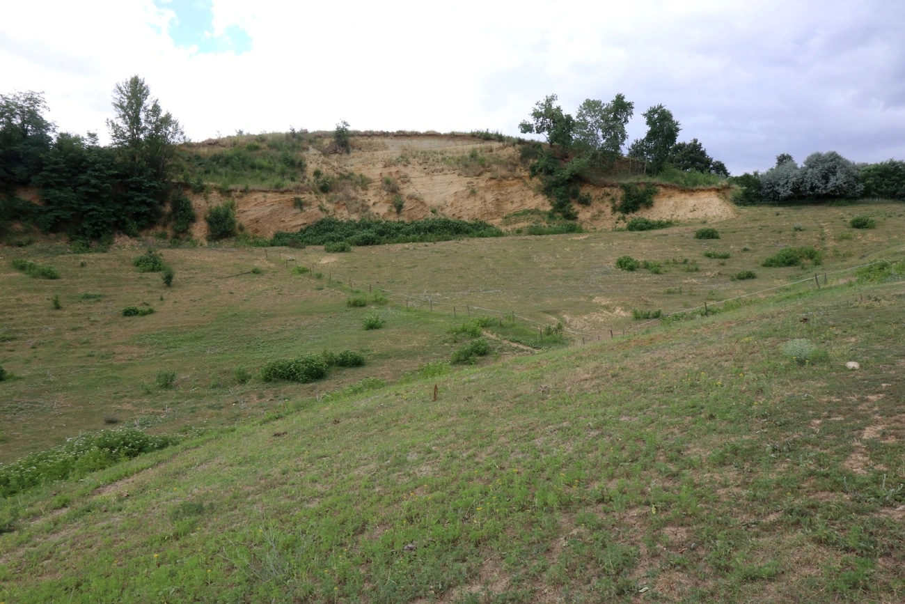 görömböly gyurgyalag