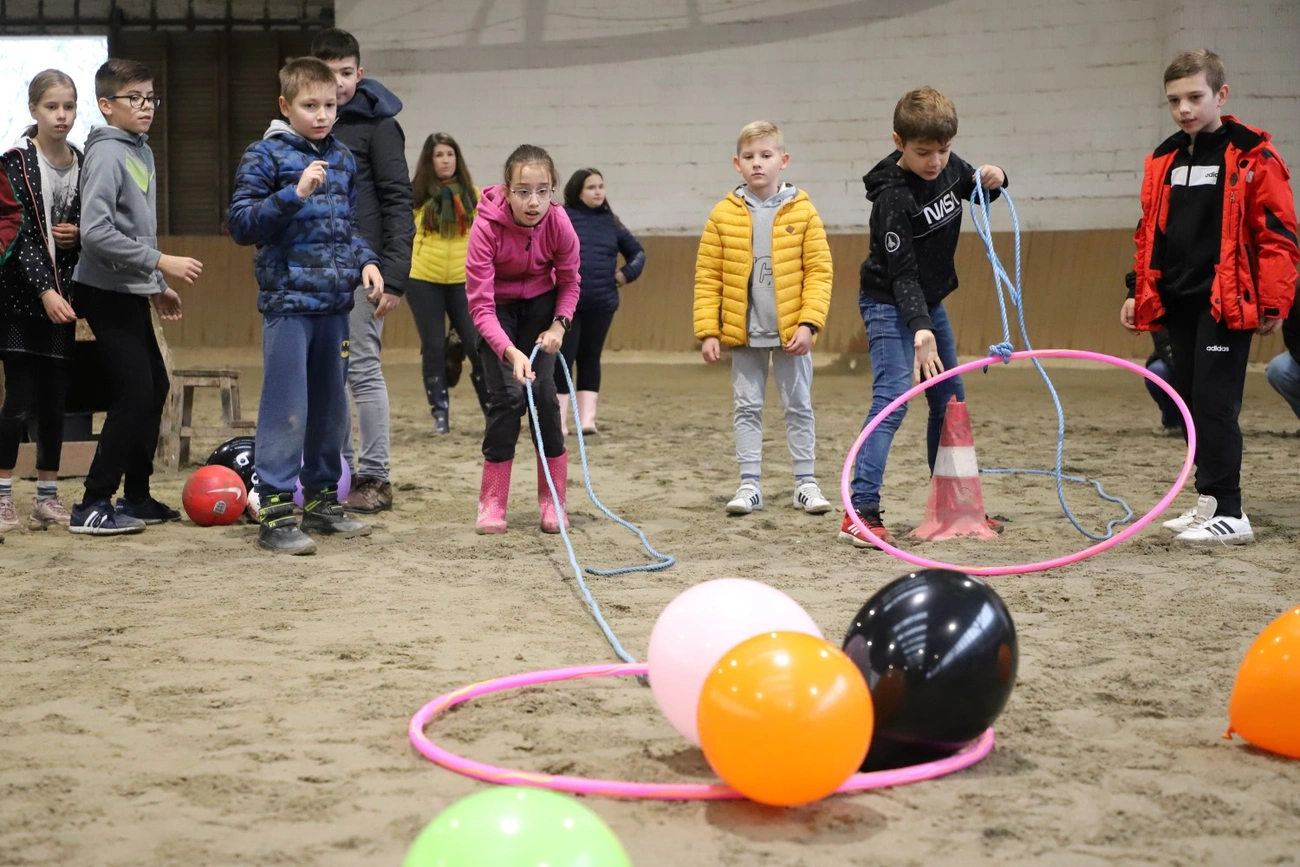 mcc balogh-liget tehetség program