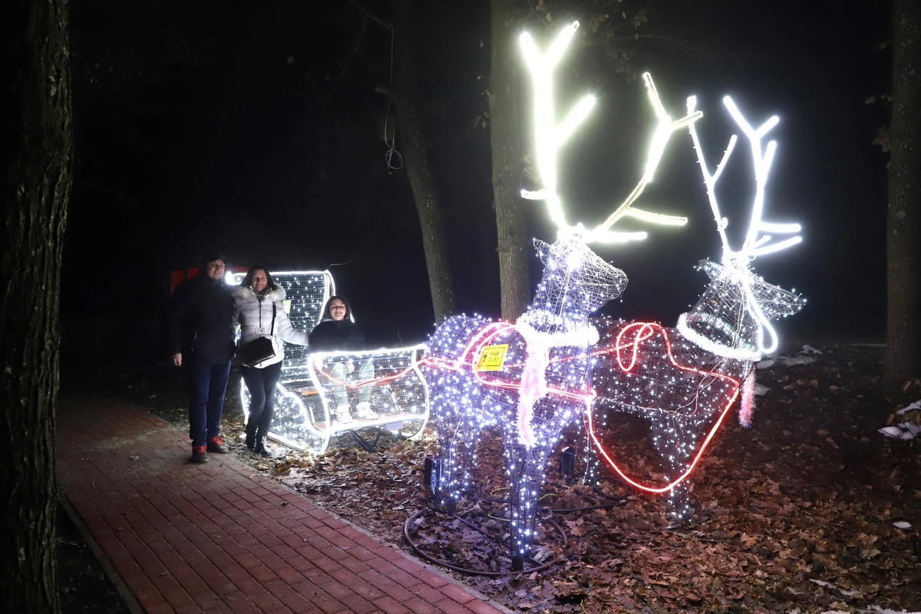 állatkert fényséta