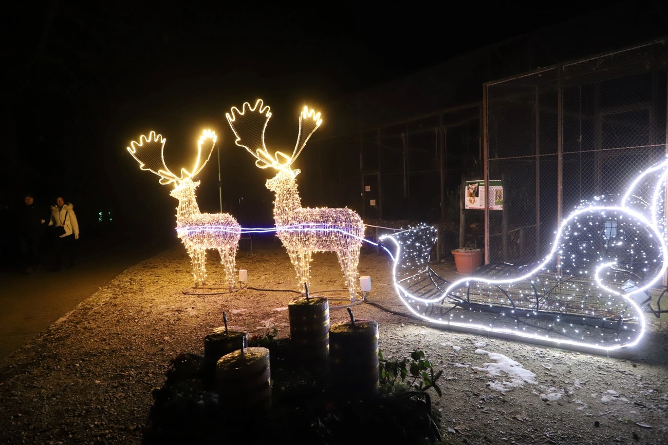 állatkert fényséta