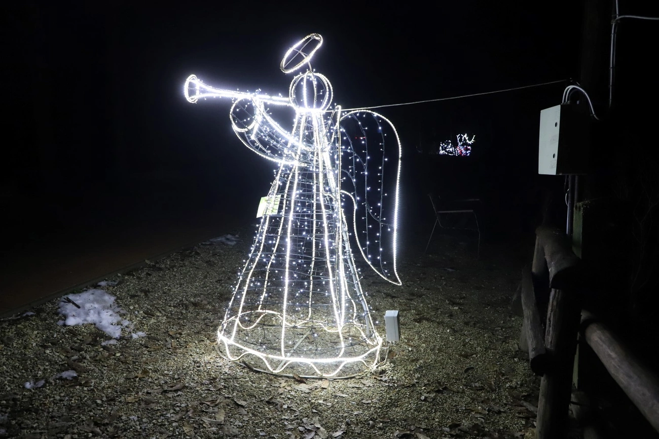 állatkert fényséta