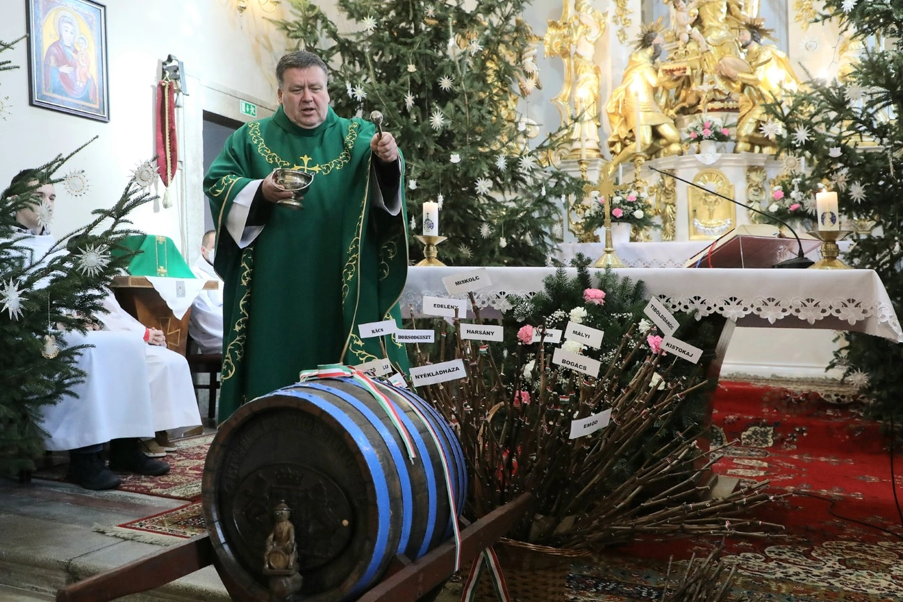 vince napi szőlő vessző szentelés istván nádor borlovagrend