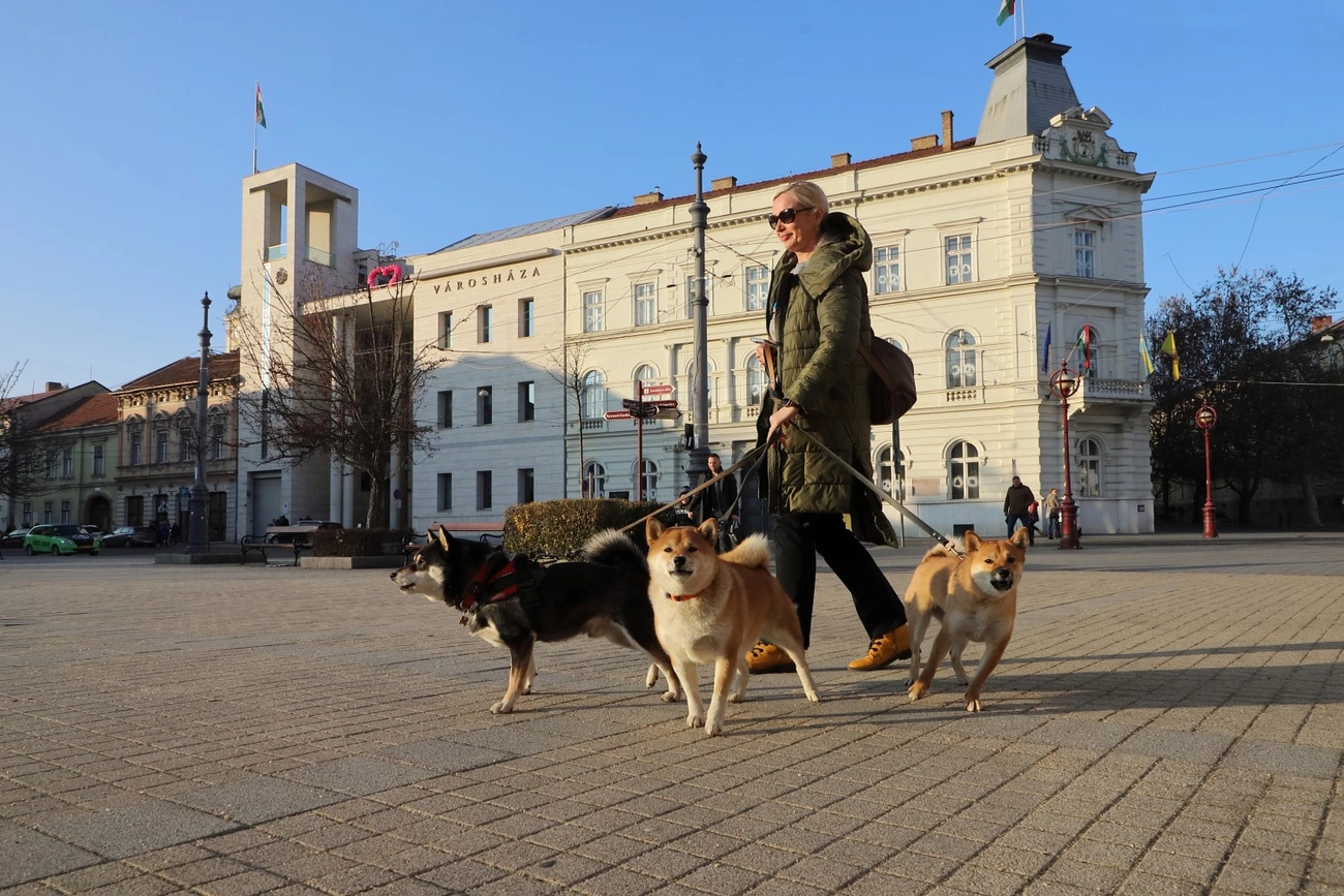 minap indito városháza