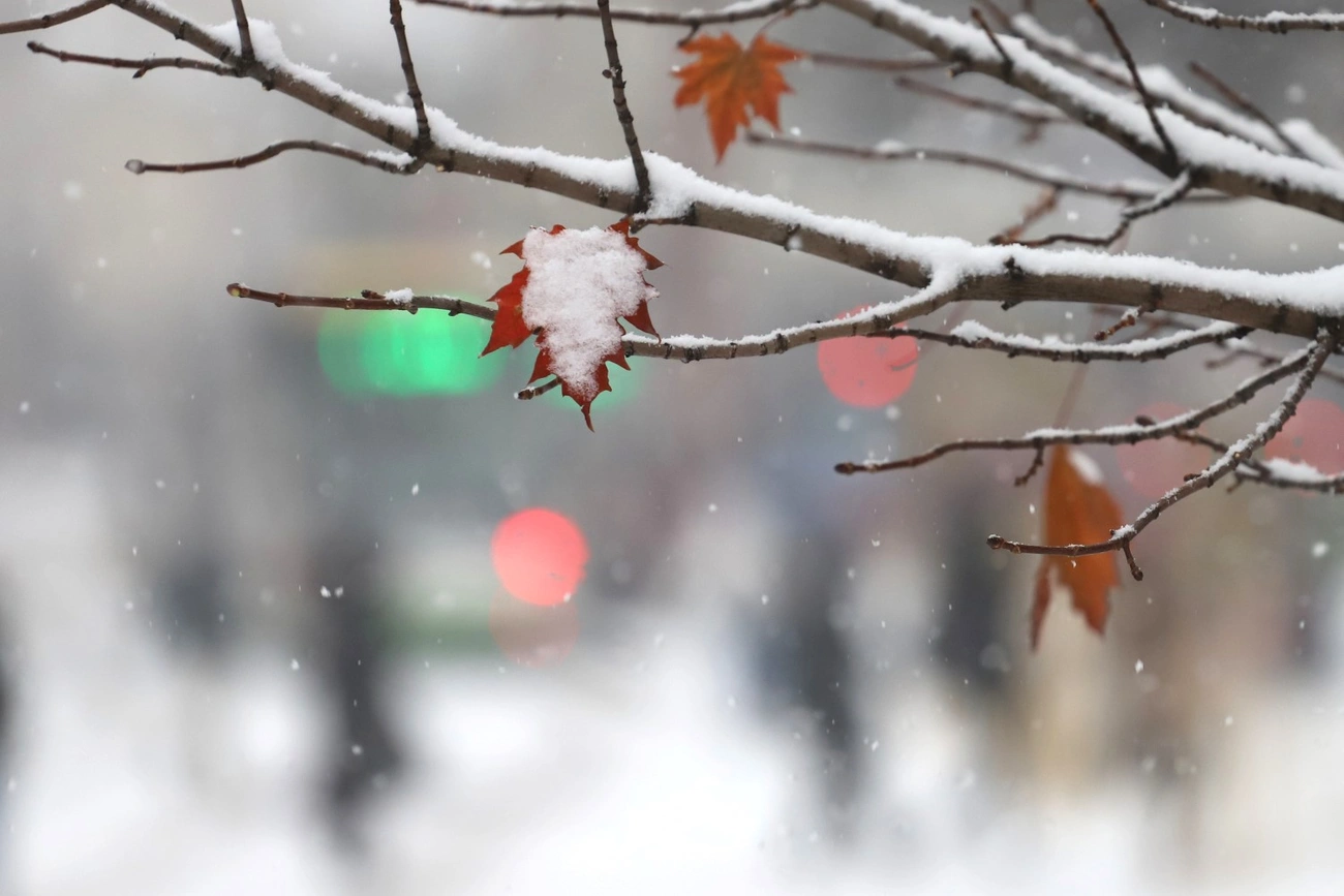 minap indító minapindito tél 