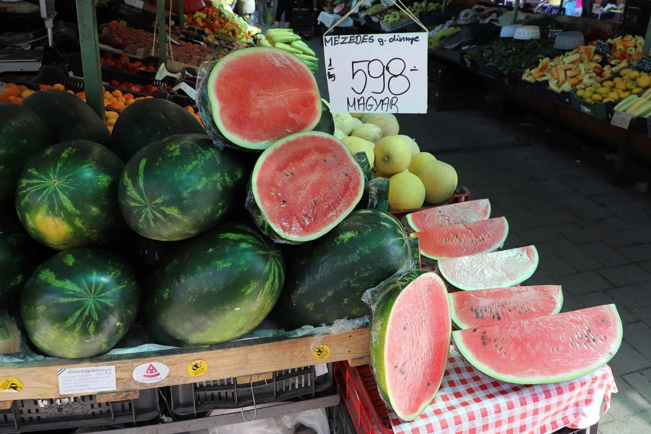 magyar dinnye búzatéri piac