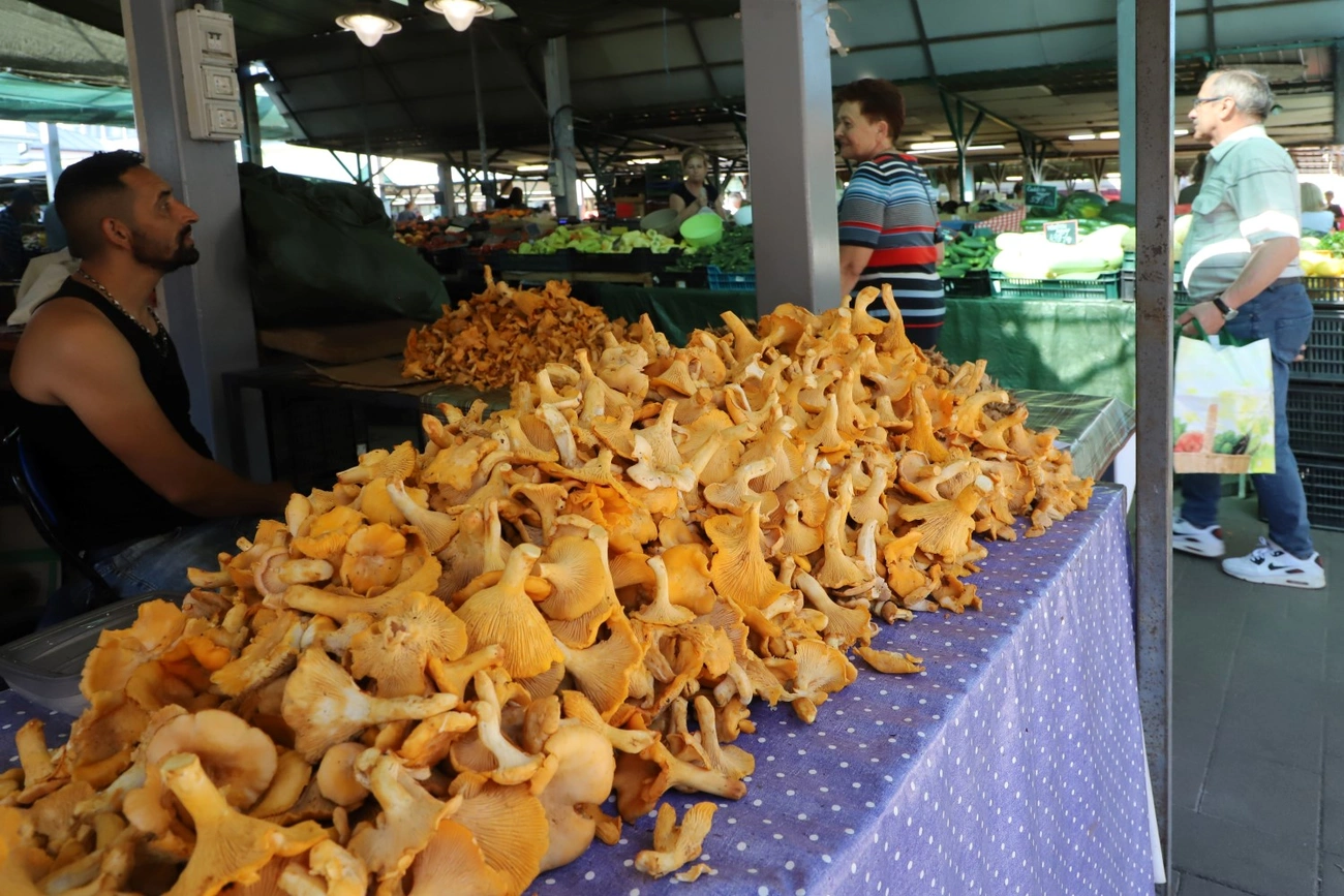 búzatéri piac gomba