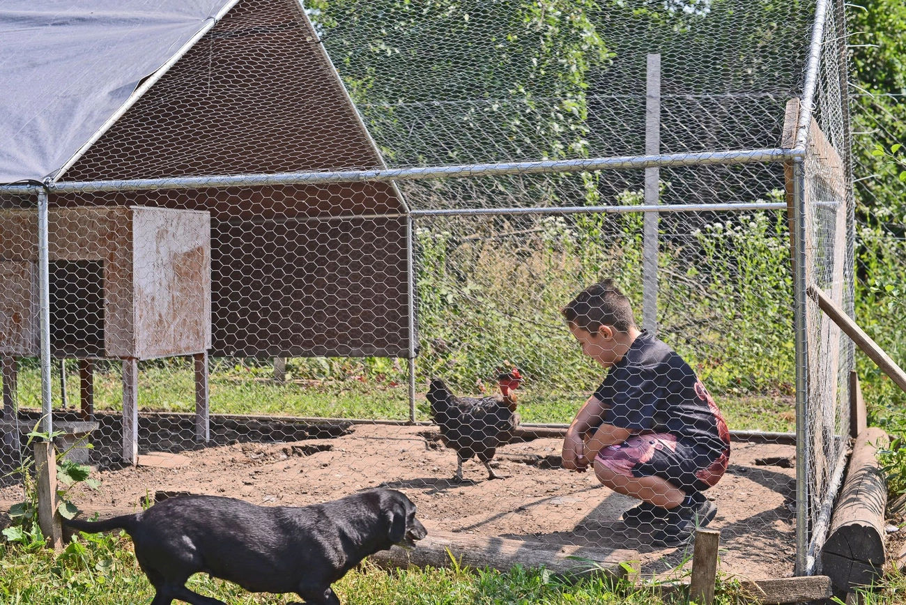 hernadkak_adomanyok_allatoknak_20250610-ot_02.jpg (963.68 KB)