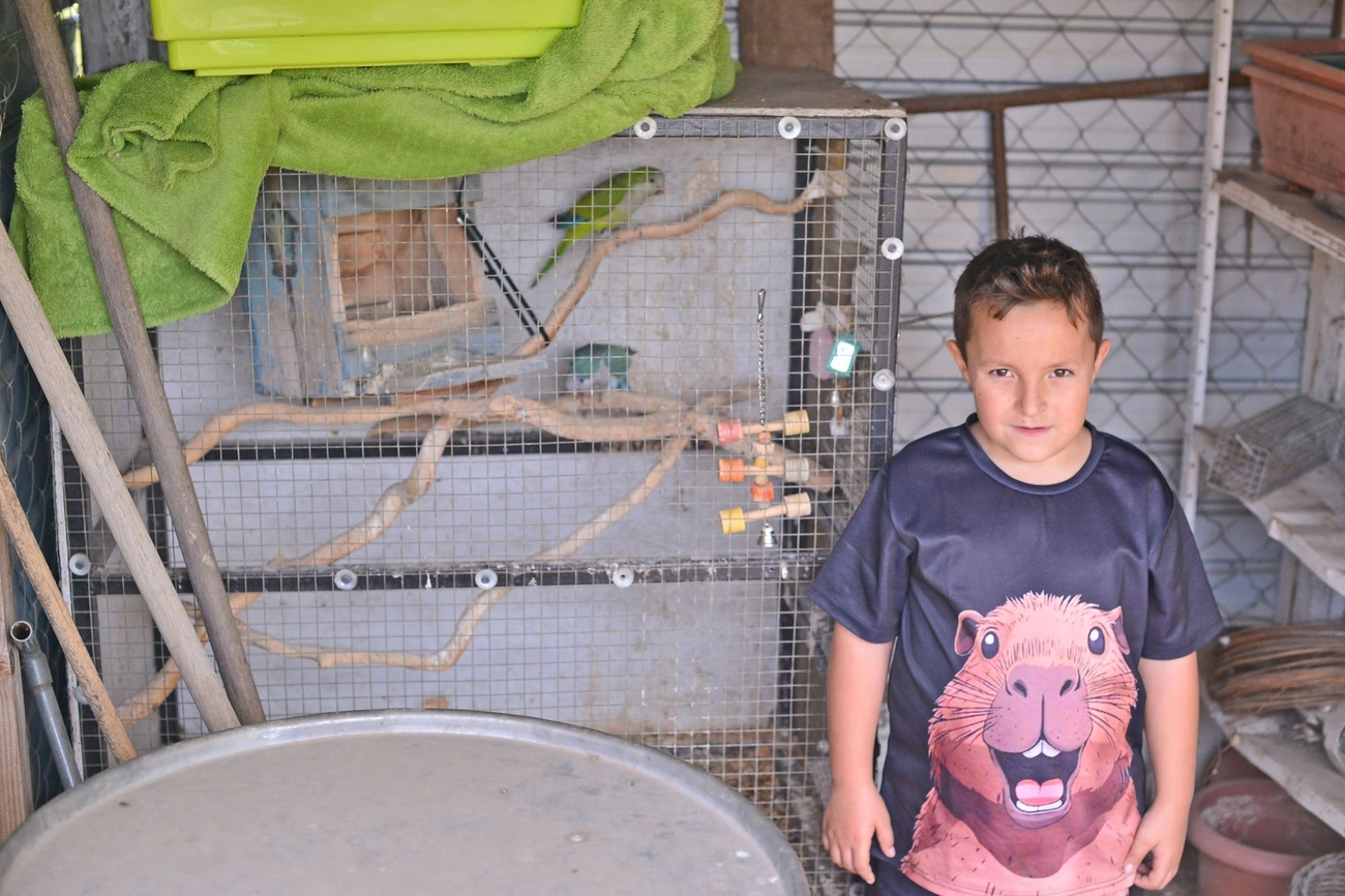 hernadkak_adomanyok_allatoknak_20250610-ot_06.jpg (364.67 KB)