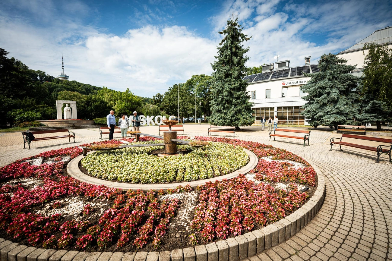 viragos_magyarorszag_verseny_zsuri_250711_web_hcs-13.jpg viragos_magyarorszag_verseny_zsuri_250711_web_hcs-13.jpg