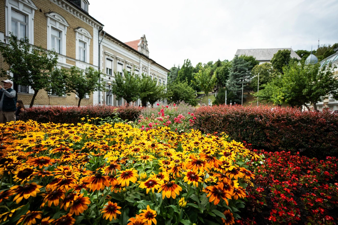 viragos_magyarorszag_verseny_zsuri_250711_web_hcs-18.jpg viragos_magyarorszag_verseny_zsuri_250711_web_hcs-18.jpg
