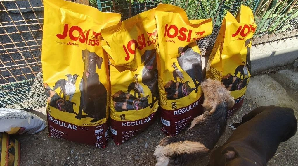 rengeteg tápot gyűjtött a kisfiú