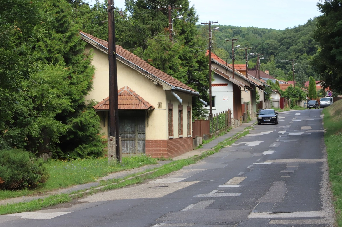 pereces_erdo_sor_vizvezetek_250729ml-5.JPG