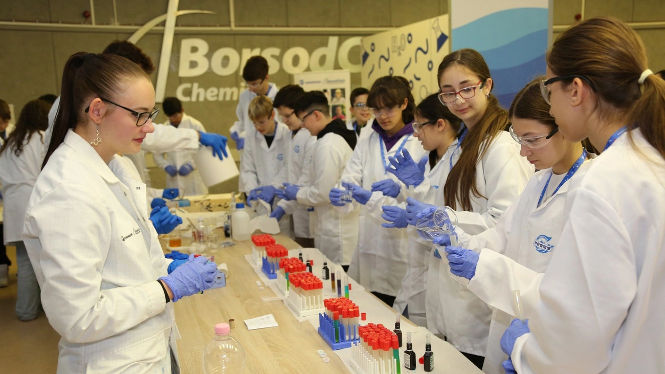 BorsodChem