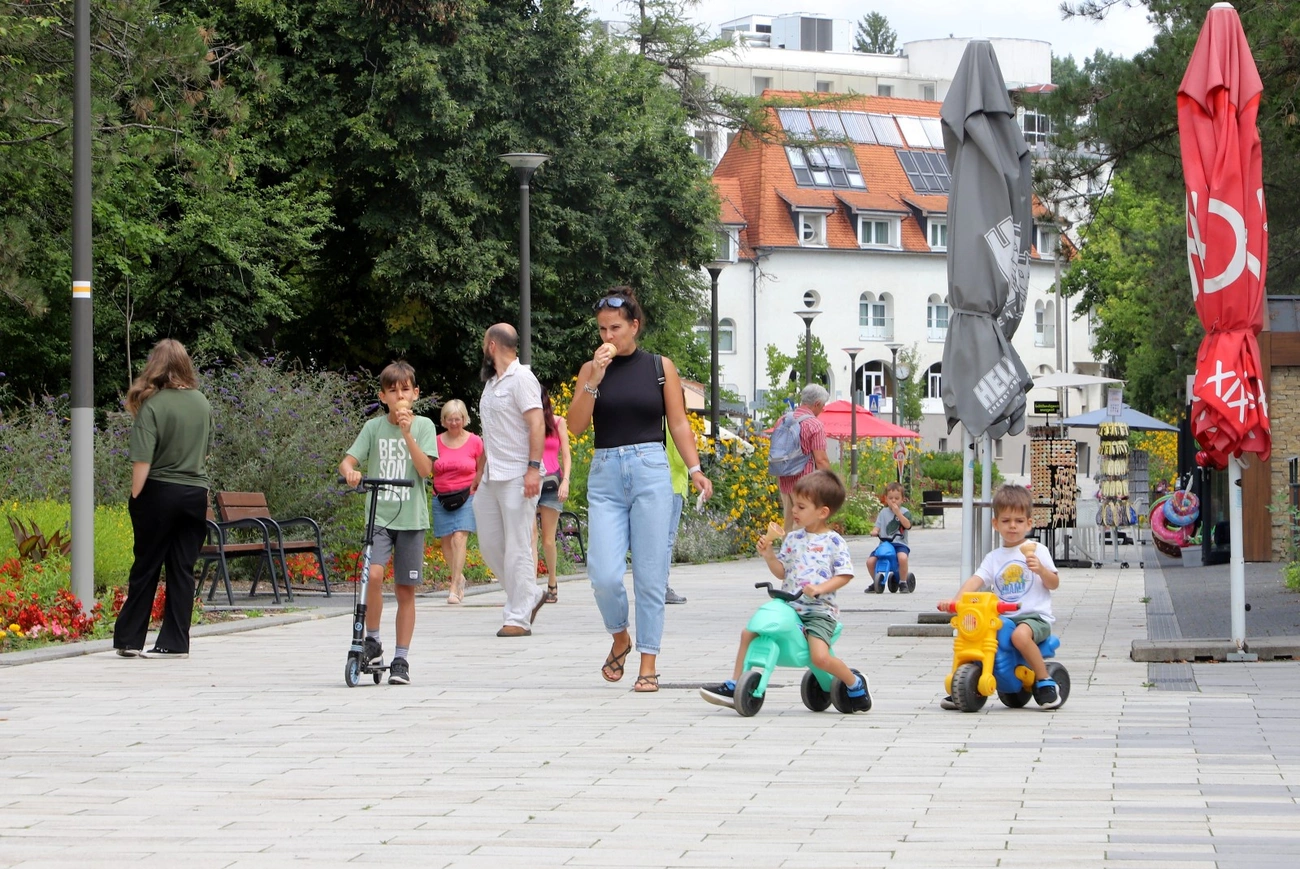 gin_fesztival_sajtotaj_bajusz_250806ml-3.JPG (581.22 KB)