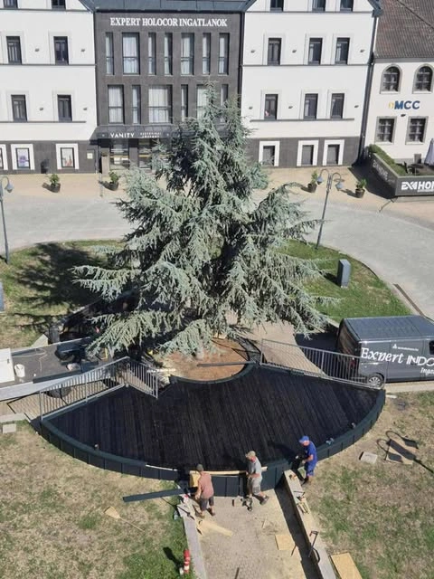 528623321_4211004249223675_7030880033404554587_n.jpg (70.19 KB)