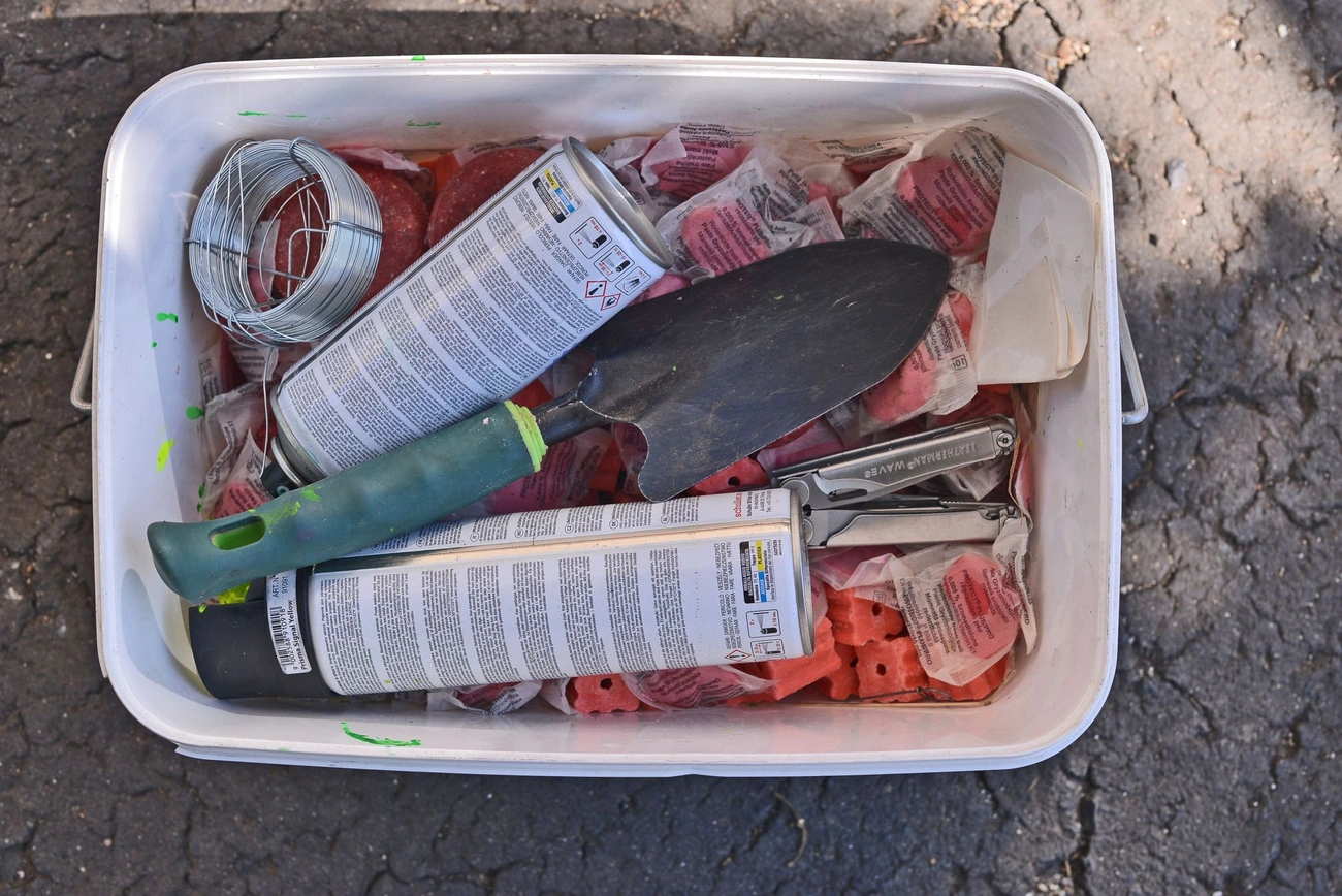 ragcsaloirtas_bertalan_utca_20250813-ot_07.jpg (461.24 KB)