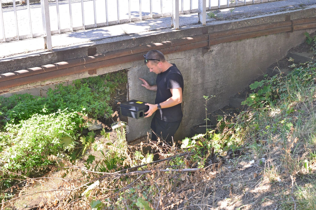 ragcsaloirtas_bertalan_utca_20250813-ot_10.jpg (735.5 KB)