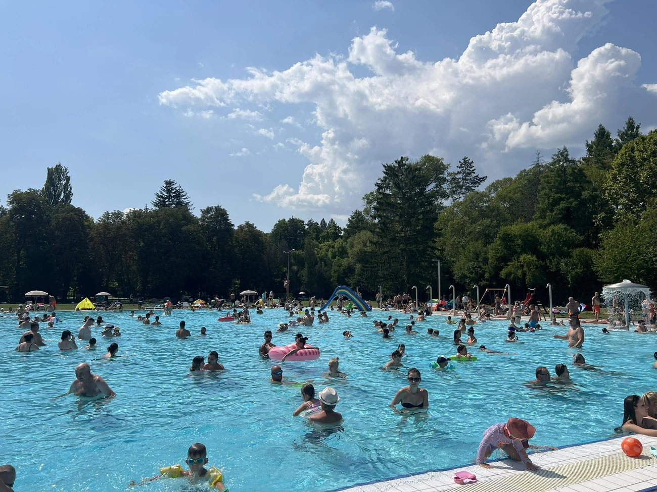 polc.jpg (463.71 KB)