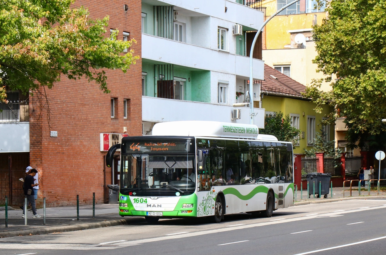 44-img_0774-44-es-nepkert-osz.jpg