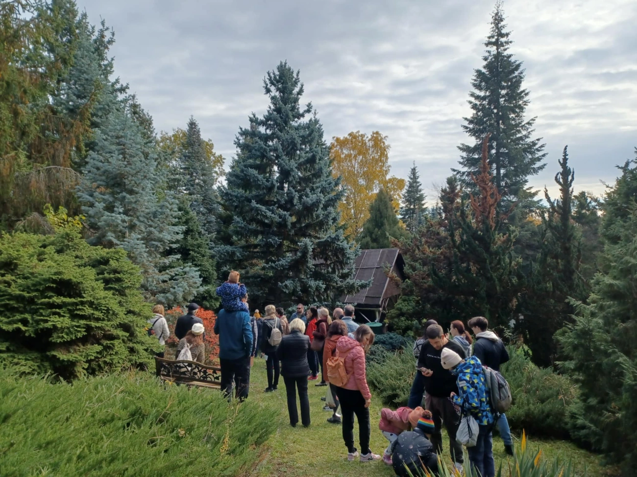 szezonzáró őszi séta Avasi Arborétum Miskolc/Dr. Adorján Imre Fenyőkert