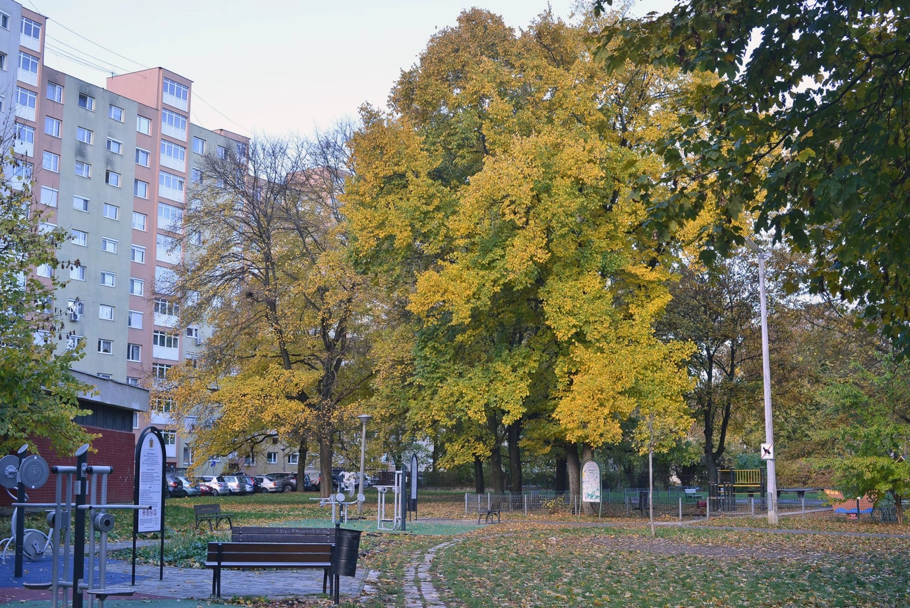 parkoloepites_bejaras_diosgyor_20251028-ot_16.jpg parkoloepites_bejaras_diosgyor_20251028-ot_16.jpg