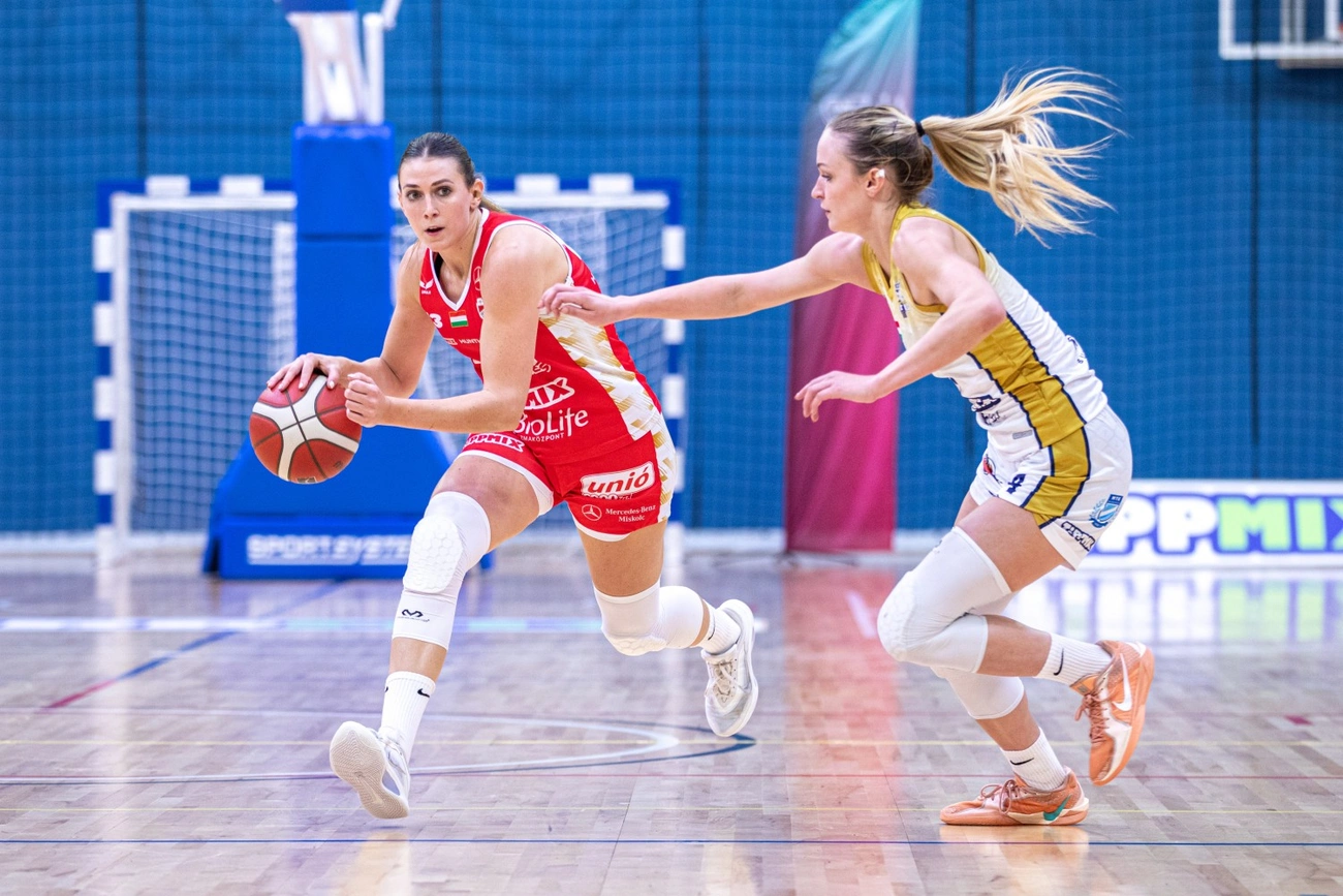 TFSE - DVTK HunTherm