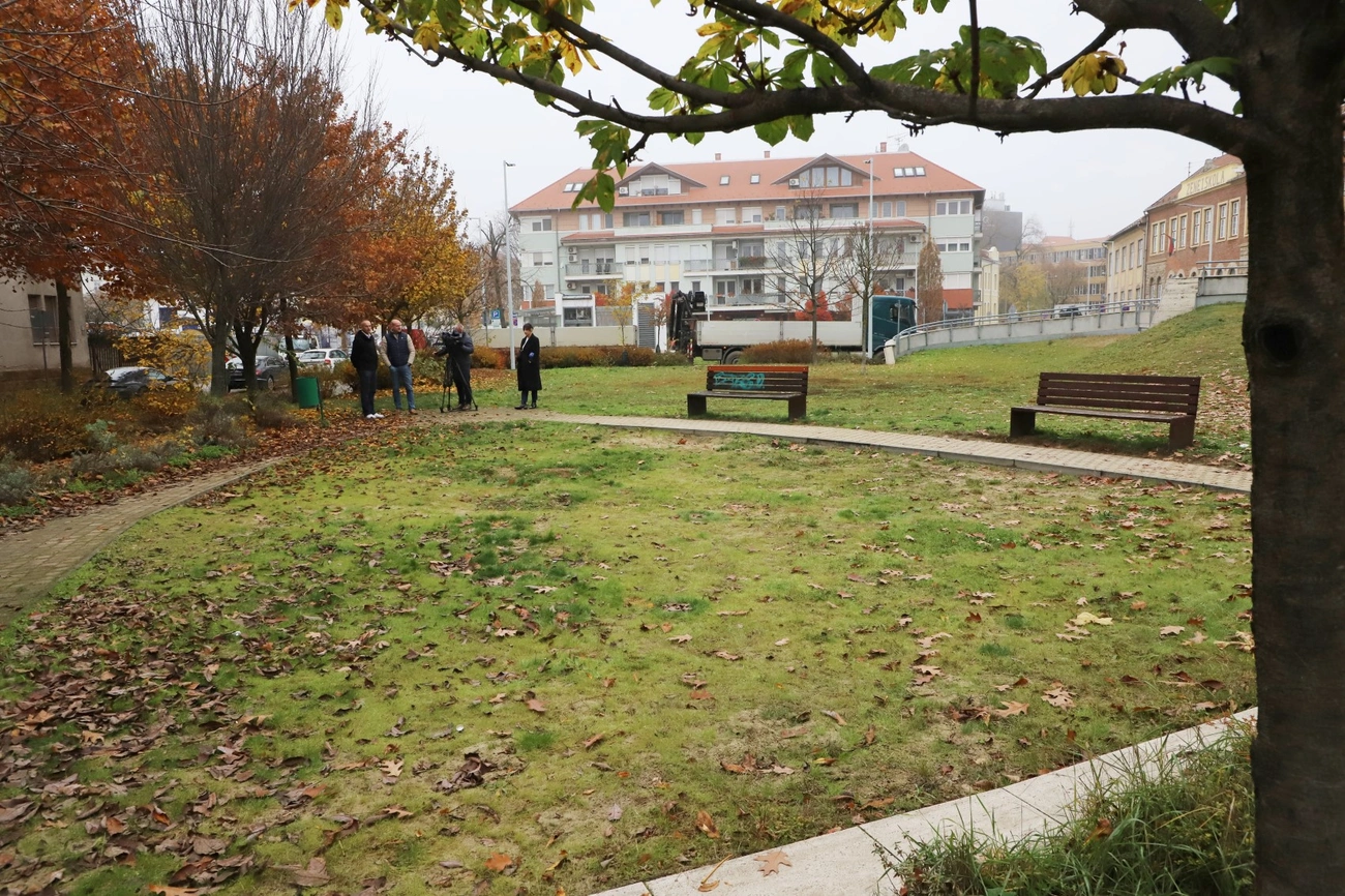 jatszoter_belvarosi_kor_sajtotaj_251111ml-7.JPG