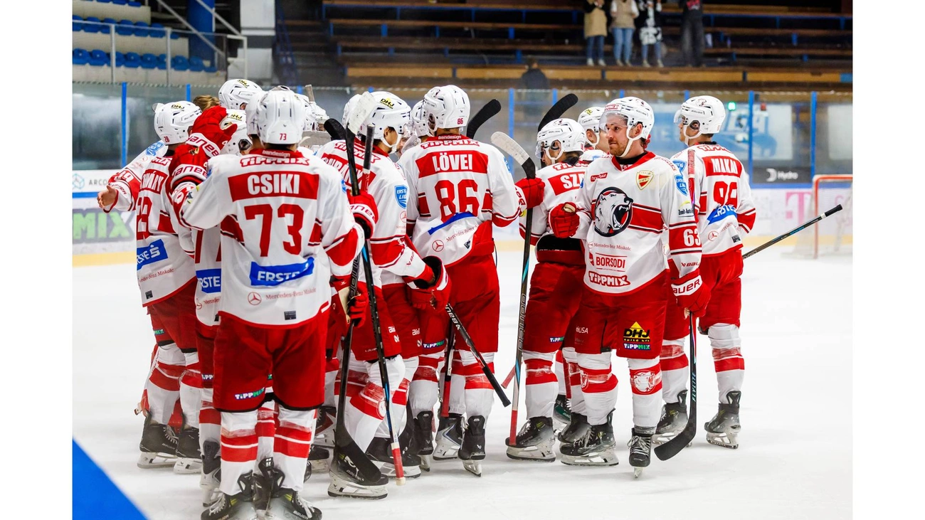 dvtk-jegesmedvek.jpg (260.08 KB)