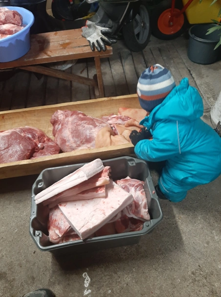 disznotors.png (428.61 KB)