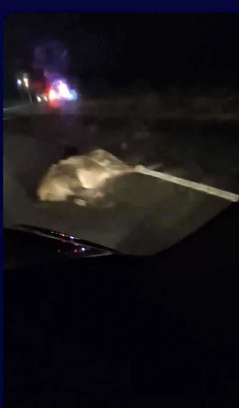 Baleset a 26-oson. Fotó: Miskolcziné Bukovics Petra